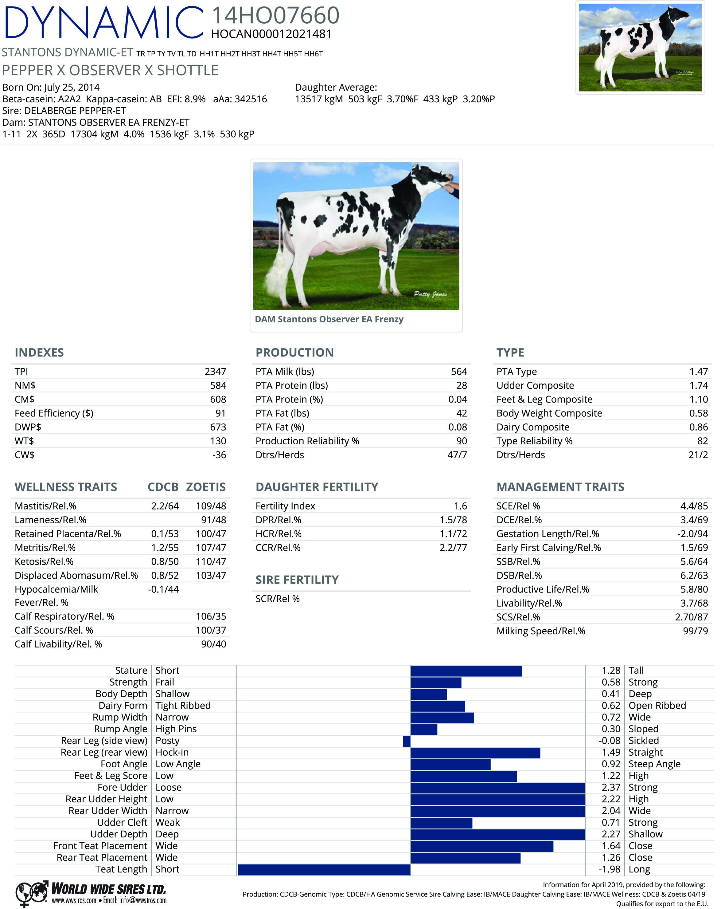 14HO07660 STANTONS DYNAMIC-ET